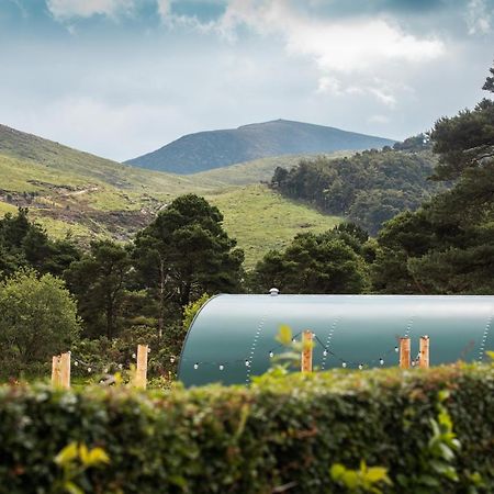 Further Space At Leitrim Lodge Luxury Glamping Pods Mourne Mountains Ньюкасл Экстерьер фото